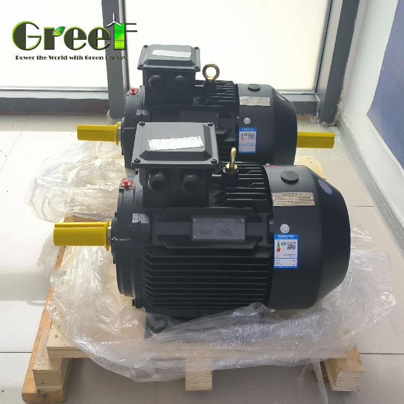 उच्च टोक़ IP54 50 हर्ट्ज स्थायी चुंबक मोटर 3 चरण एसी पानी पंप के लिए